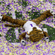 It was all too much for LSU mascot after 2020 National Championship win. When will the next title game be?